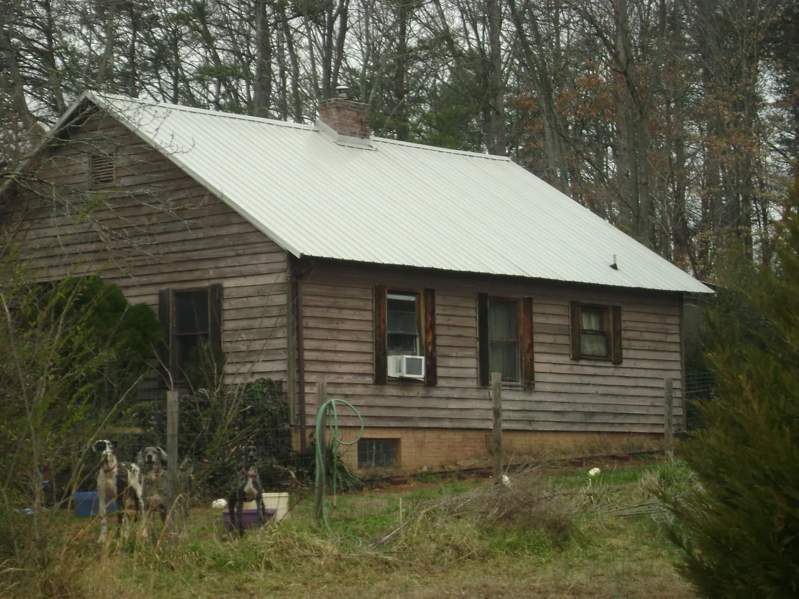 White metal roof on an old wood sided farmhouse, from a Metal Roof Installation job in Fleming Island